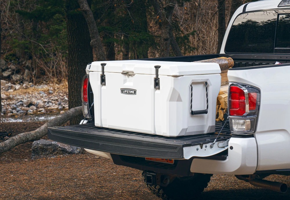 coke outdoor cooler