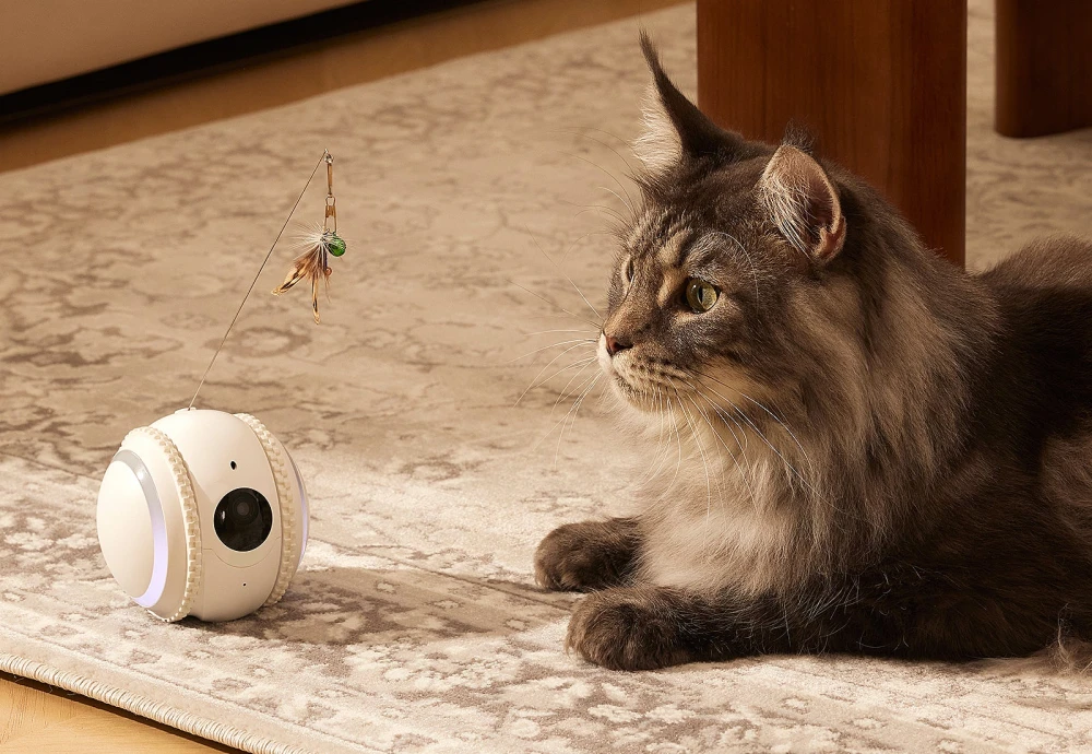 best interactive pet camera