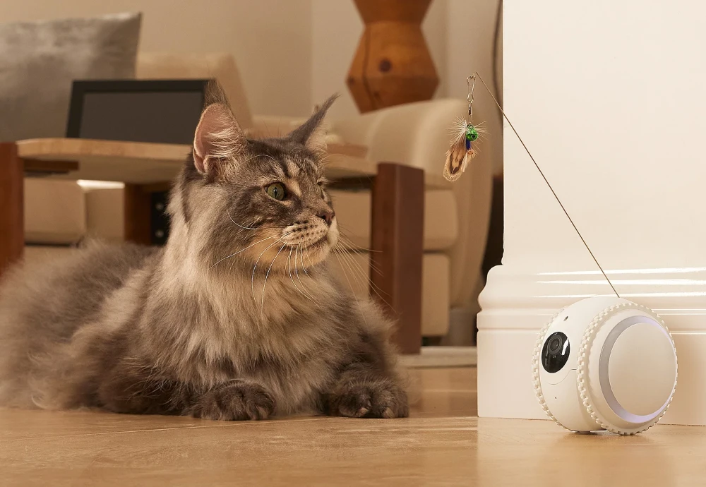 portable pet camera