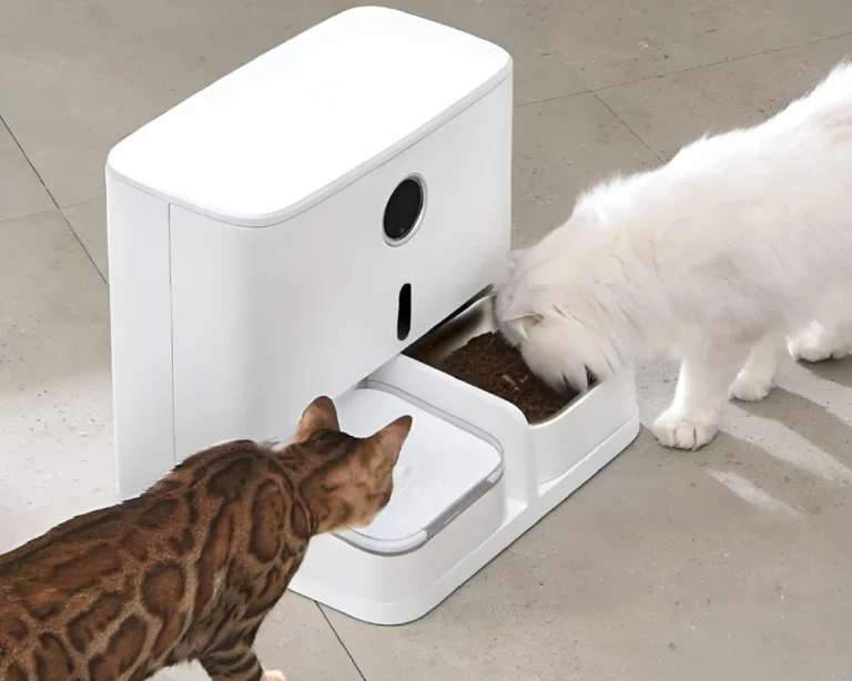 smart automatic pet feeder