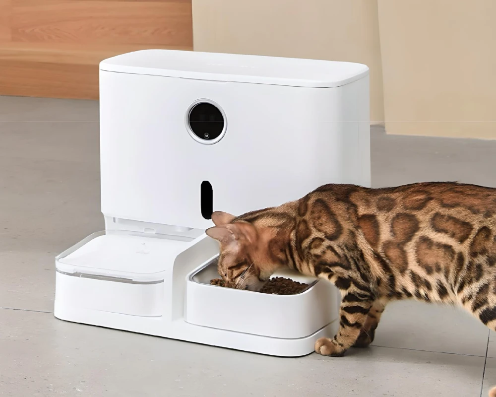 automatic pet feeder and water