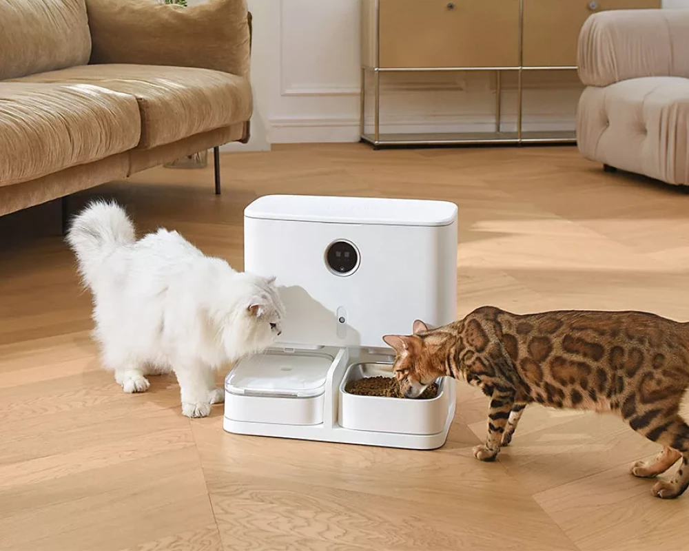 automatic pet feeding system