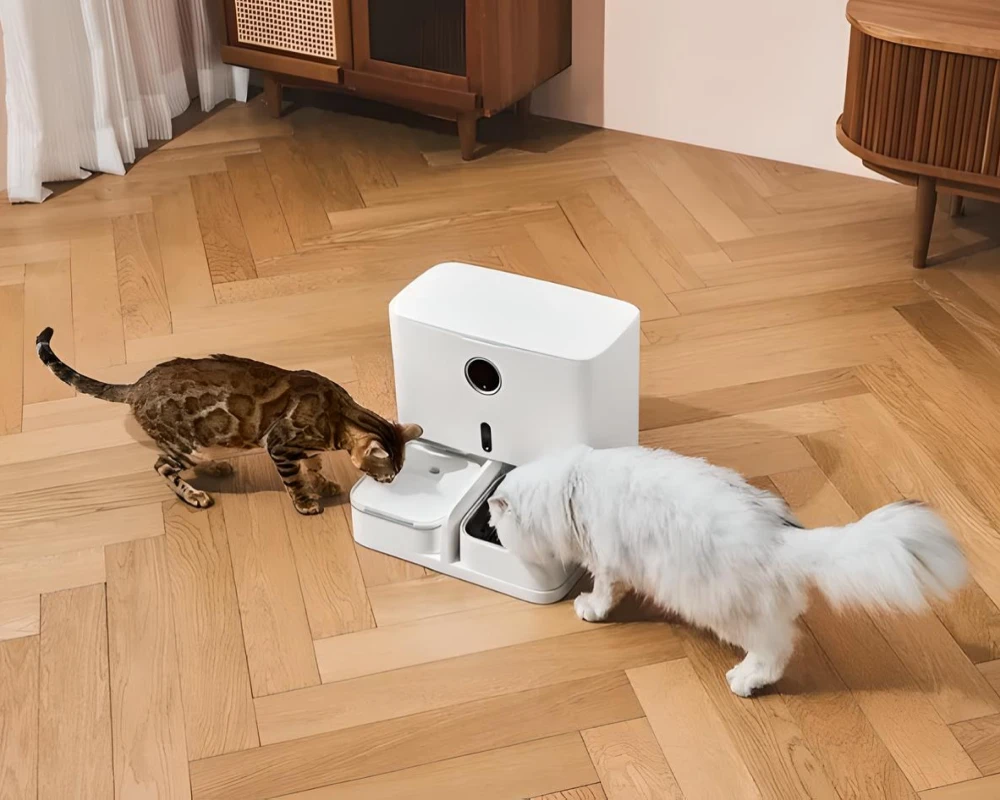 best automatic pet feeder with camera