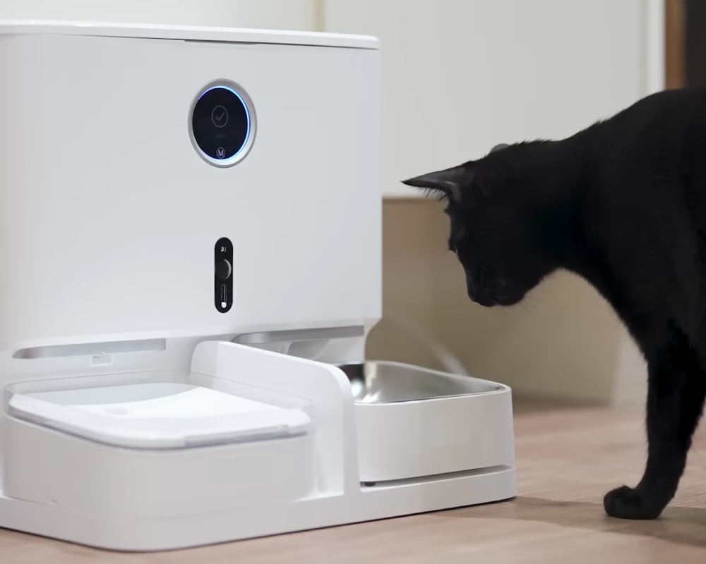 automatic cat feeder with camera