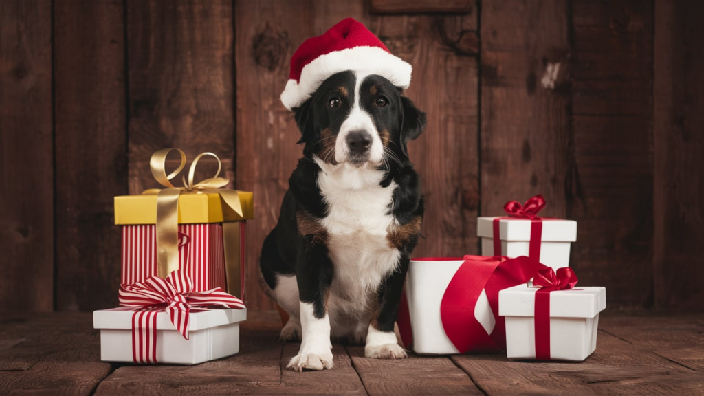 Pet Supplies Gift Ideas